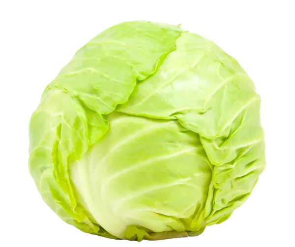 Изображение Овощ Краснодарский край капуста молодая  вес 