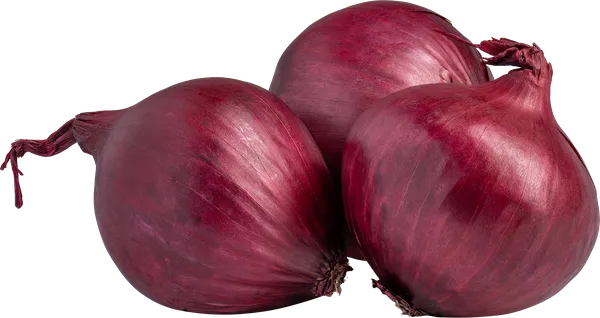 Изображение Корнеплод урожай 2026г Лук красный молодой Игнина Д.Р. вес 