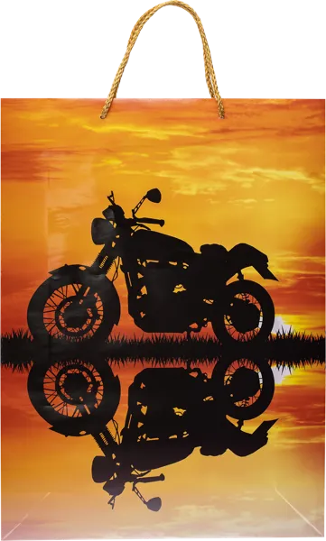 Изображение Пакет 33*45см ламинированный Асса в ассортименте Асса , 1 шт