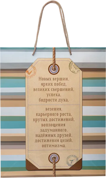 Изображение Пакет 26*32 см ламинированный Асса в ассортименте Асса , 1 шт