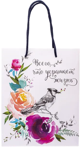 Изображение Пакет 18*23см ламинированный Асса в ассортименте Асса , 1 шт