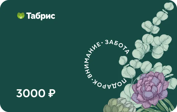 Изображение Сертификат подарочный  на 3000 рублей ТАБРИС , 1 шт