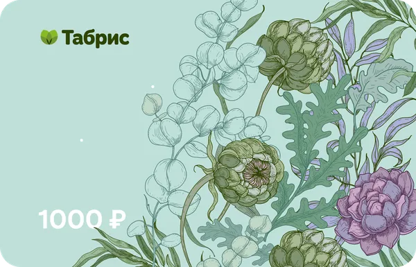 Изображение Сертификат подарочный  на 1000 рублей ТАБРИС , 1 шт
