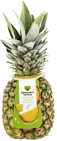 Изображение Плод спелый Табрис ананас Гринфилдс Логистика вес 