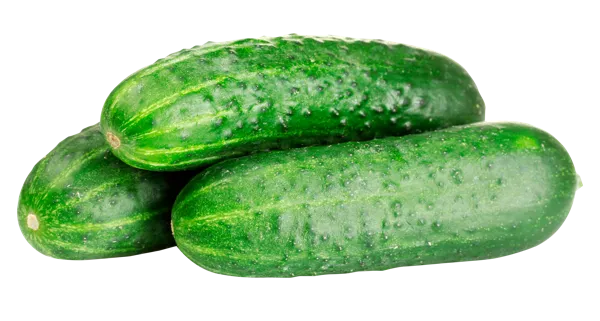 Изображение Овощ короткоплодный местный огурец герман  вес 