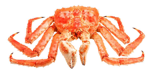 Изображение Морепродукты живые краб камчатский Фетисов вес 