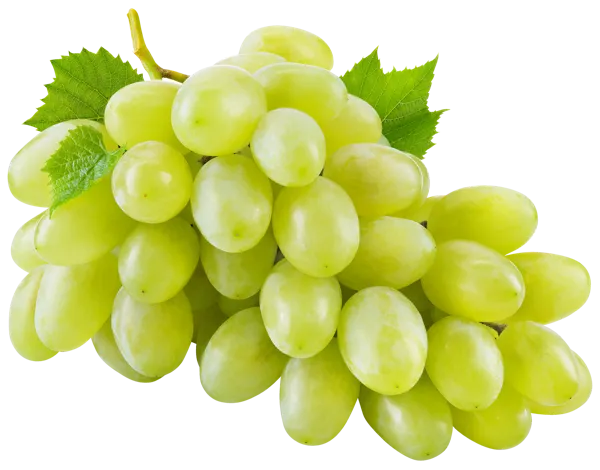 Изображение Ягода тайфун виноград белый  вес 
