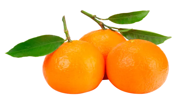 Изображение Фрукт  мандарин мини  вес 