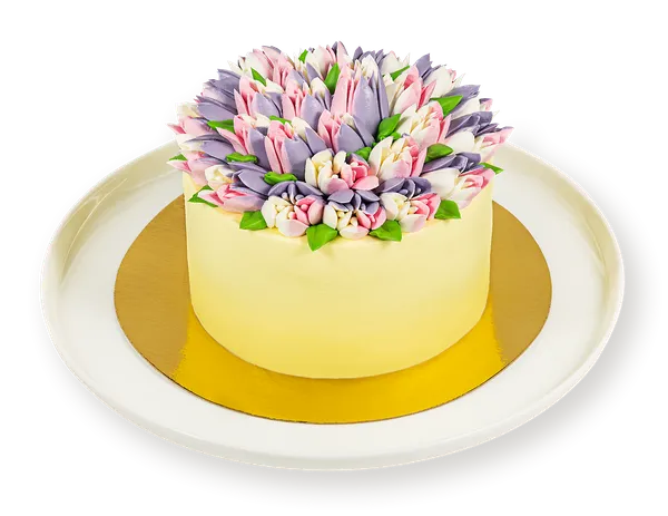 Изображение Торт бисквитный С шоколадом с вишней СП ТАБРИС кор