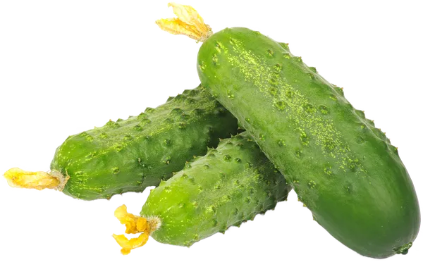 Изображение Овощ Атлет Огурец среднеплодный  вес 