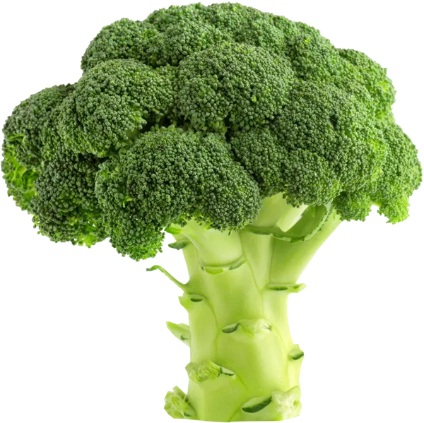 Изображение Овощ импорт капуста брокколи  вес 