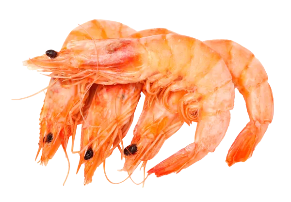 Изображение Морепродукты В/М 50/70 Агама креветки королевские xxl  вес 