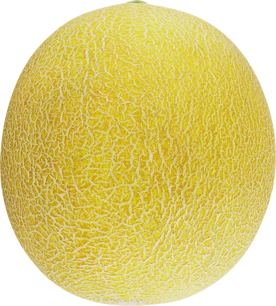 Изображение Фрукт Дыня медовая  