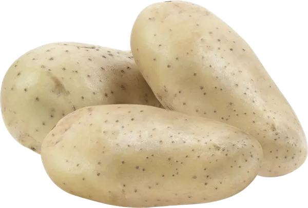 Изображение Корнеплод урожай 2025г Картофель молодой отборный Игнина Д.Р.  