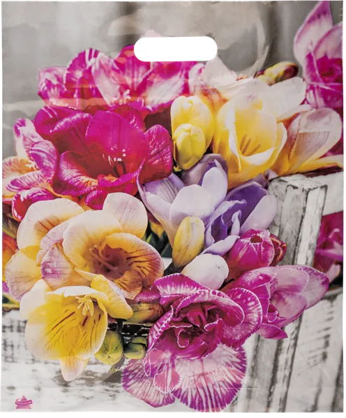 Изображение Пакет Прорезь 47*38см Тикопластик , 1 шт