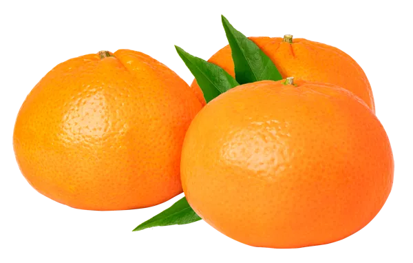 Изображение Фрукт  мандарин ЮАР вес 