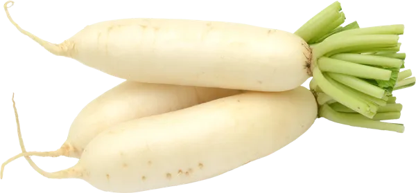 Изображение Корнеплод  редька белая  вес 