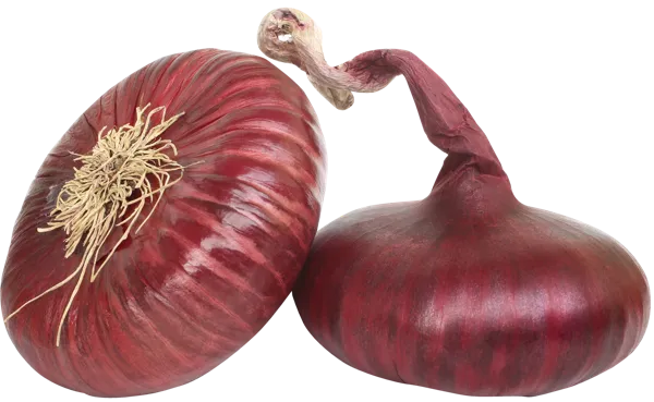 Изображение Корнеплод плоский ялтинский лук красный Игнина Д.Р. вес 