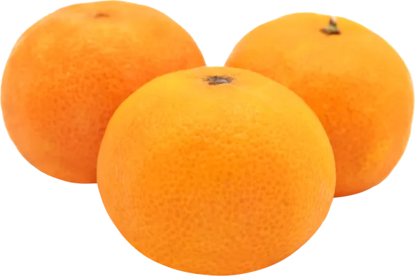 Изображение Фрукт сорт Фримонт мандарин  вес 