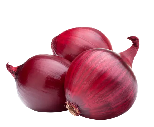 Изображение Корнеплод молодой лук красный Игнина Д.Р. вес 