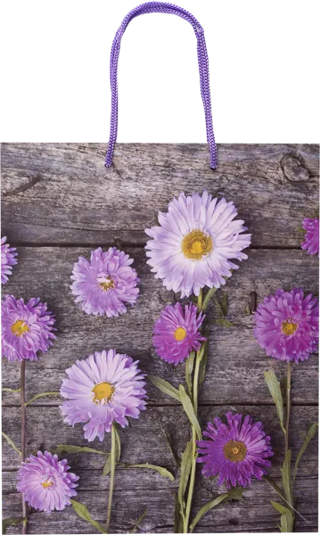 Изображение Пакет 32,7*26,4см ламинированный Асса в ассортименте Асса , 1 шт