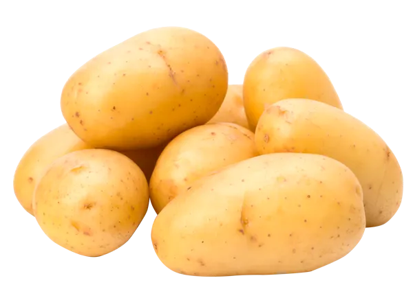 Изображение Корнеплод голландский картофель белый  вес 