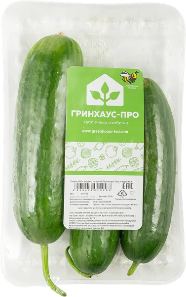 Изображение Овощ  огурец гладкий Гринхаус-Про подложка, 500 г