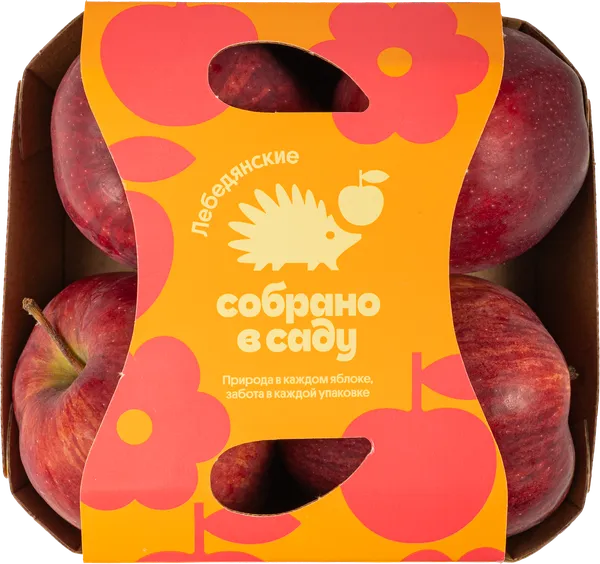 Изображение Фрукт ред чиф Собрано в саду яблоки Агроном сад подложка, 4 шт
