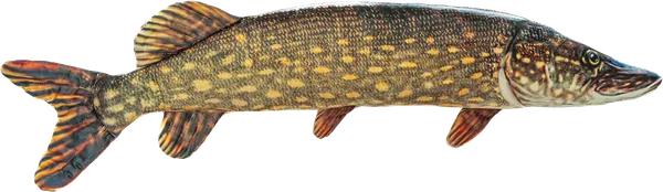 Изображение Мягкая игрушка 50см Фикси тойси щука Прима Тойс м/у, 1 шт