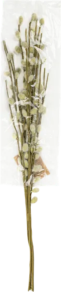 Изображение Ветка 55см декоративная Анна Лафарг верба Анна Лафарг м/у, 1 шт