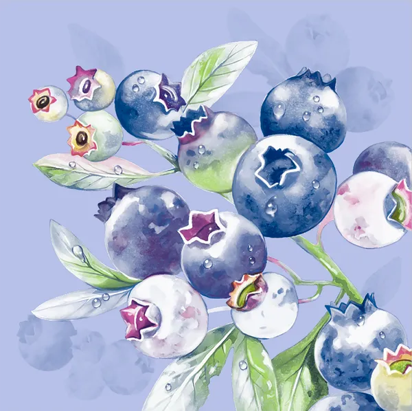 Изображение Салфетки 3х слойные Букет хоум коллекшн черника на голубом 33*33 Русская Бумага м/у, 20 шт