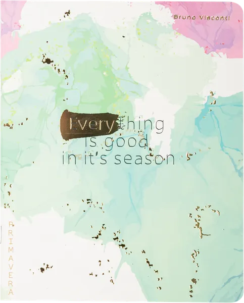 Изображение Тетрадь 48л клетка Бруно Висконти А5 примавера ПЗВМ , 1 шт