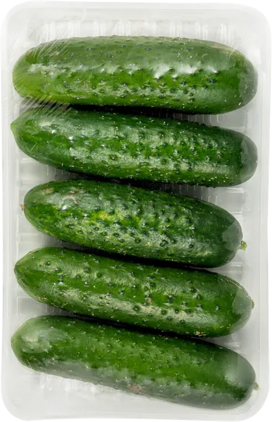 Изображение Овощ короткоплодный огурец  лоток, 5 шт