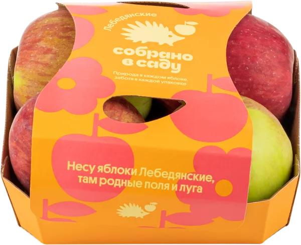 Изображение Фрукт Лебедянское Собрано в саду яблоко Агроном сад подложка, 4 шт