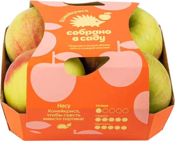 Изображение Фрукт Хонейкрисп Собрано в саду яблоко Агроном сад подложка, 4 шт