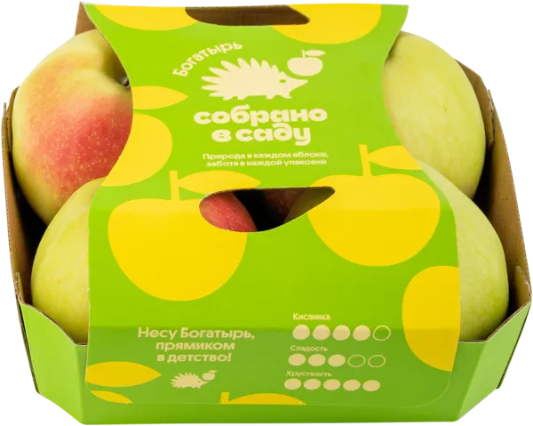 Изображение Фрукт Богатырь Собрано в саду яблоко Агроном сад подложка, 4 шт