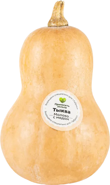 Изображение Овощ Порционная Табрис Тыква молоко с медом Першина К.А. , 1 шт
