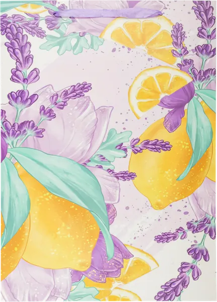 Изображение Пакет 30*42см бумажный Табрис лимоны Джинхуа Синкань , 1 шт