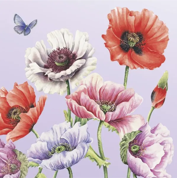 Изображение Салфетки 3х слойные Арт букет поле маков 33*33 Русская Бумага м/у, 20 шт