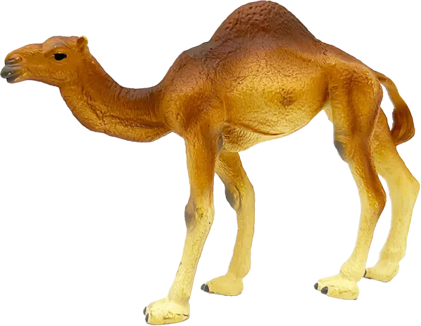 Изображение Фигурка 14,5см Детское время верблюд одногорбый Морефан Текнолоджи , 1 шт