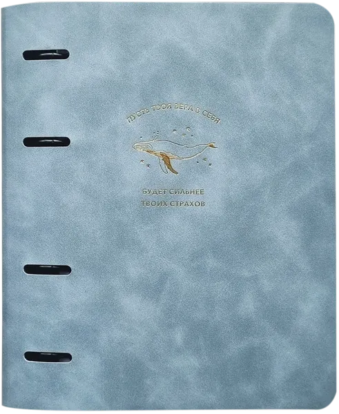 Изображение Тетрадь 120л клетка Инфолио Стади фотс синяя на кольцах БелКанБи , 1 шт