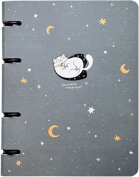 Изображение Тетрадь 120л клетка Би Смарт мур-мур серая на кольцах БелКанБи , 1 шт
