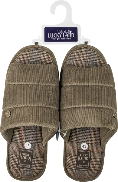 Изображение Тапочки мужские домашние Лакки Лэнд 4822M-CH-O в ассортименте Степ-Трейд , 1 пара