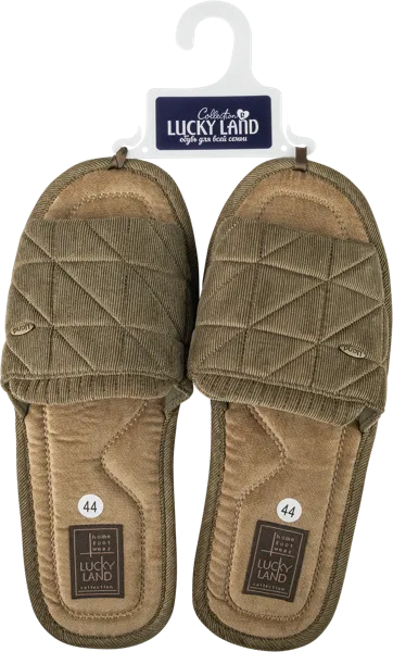 Изображение Тапочки мужские домашние Лакки Лэнд 4075M-CH-O в ассортименте Степ-Трейд , 1 пара