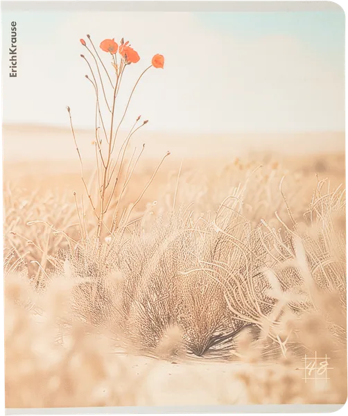 Изображение Тетрадь 48л клетка Эрих Краузе а5 пасифико Эрих Краузе , 1 шт