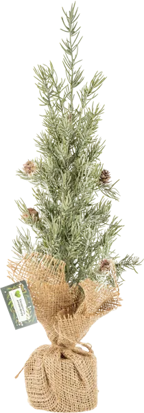 Изображение Елочка 50см настольная Табрис создавай атмосферу ледяная в джуте Кристмас Квин , 1 шт