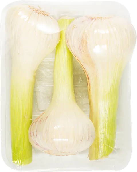 Изображение Корнеплод молодой Чеснок Игнина Д.Р. пучок, 3 шт