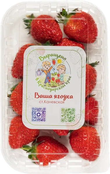 Изображение Ягода ст.Каневская Клубника местная Черкасская Н.Н. лоток, 250 г