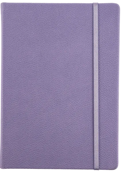 Изображение Записная книжка 192л Инфолио А5 лайфстайл лиловый Шэньчжэнь Сити Фронт , 1 шт