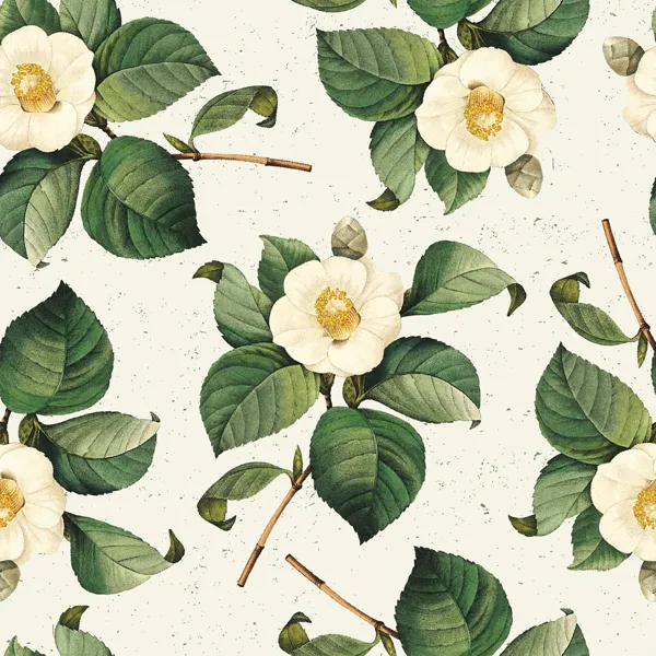 Изображение Бумага 70*100см упаковочная Би Смарт флора камелия Созидание м/у, 1 шт